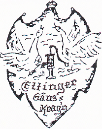 Ettinger Gänskragn